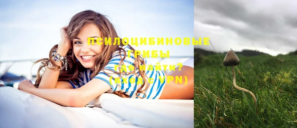 jwh Карпинск