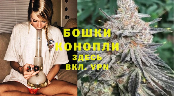 дживик Киренск