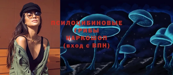 дживик Киренск