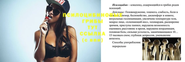 дживик Киренск