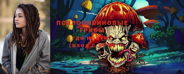 a pvp Киреевск