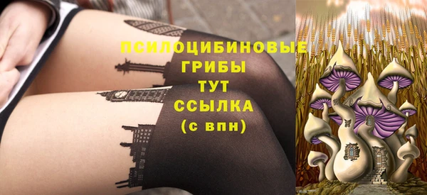 дживик Киренск