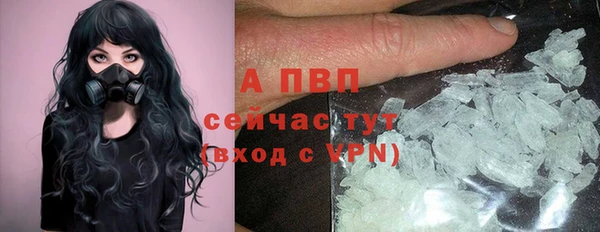 дживик Киренск